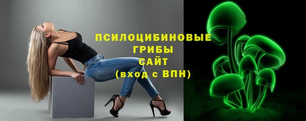 прущие грибы Алзамай