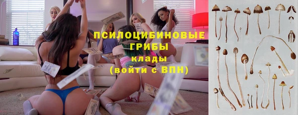 ECSTASY Михайловка