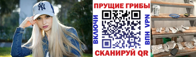 Псилоцибиновые грибы GOLDEN TEACHER  Агидель 